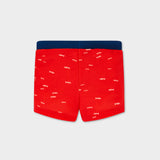 Ocean Dweller Swim Shorts