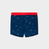 Ocean Dweller Swim Shorts